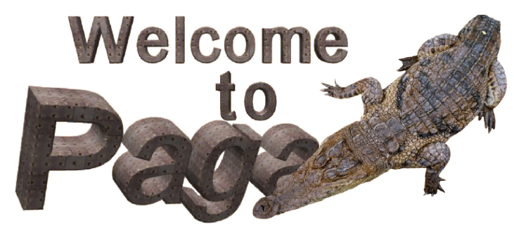 Besuche die Krokodile im Norden ghanas, in Paga